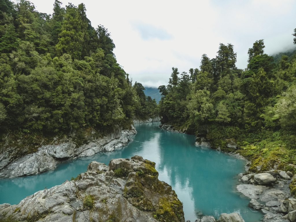 Discover the peaceful Kokatahi River flowing through dense forest in West Coast, New Zealand.